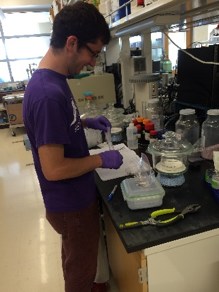 The University of Kentucky REU introduced me to amazing people and experiences. It gave me a rigorously rewarding education but left me with the freedom to explore life outside of chemical engineering, like living in a new city, making new connections, an