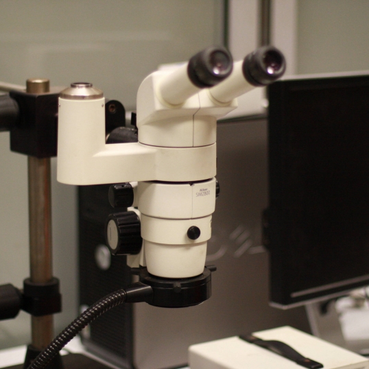 Nikon SMZ800 - Optical Microscopy System