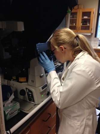 The 2017 NSF REU at UK was a fantastic experience for all who have even slight interested in graduate school. It is a wonderful opportunity to get real, hands-on experience in a science and engineering lab environment as well as become familiar with the d