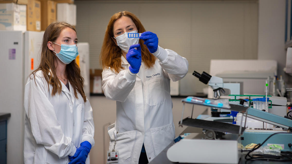 Fanny Chapelin’s lab develops non-invasive magnetic resonance imaging (MRI) methods to track immune cell migration to inflammation in different pathologies such as transplant rejection, autoimmune diseases and cancer.